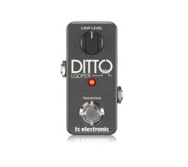 Купить TC ELECTRONIC DITTO LOOPER Педаль эффектов