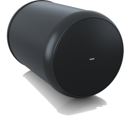 Купить Tannoy OCV 6 BK Трансляционная акустическая система подвесная