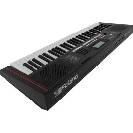 Купить Roland E-X10 Синтезатор