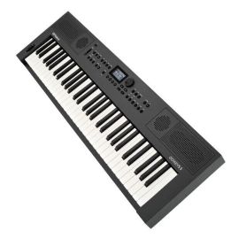 Купить Roland GO:KEYS 5 (GR) Синтезатор GRAPHITE