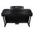 Купить SOLISTA DP801R Цифровое пианино