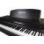 Купить SOLISTA DP801R Цифровое пианино