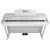 Купить SOLISTA DP801WH Цифровое пианино