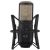 Купить AKG P420 Микрофон студийный