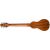 Купить Washburn RO10SK ROVER Гитара акустическая