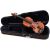 Купить Скрипка Karl Hofner AS-170-V 3/4 Скрипка в комплекте