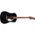 Купить Fender CA STD REDONDO IPG BLK Акустическая гитара