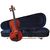 Купить Cervini HV-100 4/4 Скрипка в комплекте