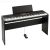 Купить KORG XE20SP Цифровое пианино