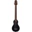 Купить Washburn RO10SBK ROVER Гитара акустическая