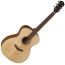 Купить Baton Rouge X11S/SD-BT Гитара акустическая