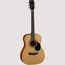 Купить Cort AF 510 OP Гитара акустическая