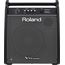 Купить Roland PM-200 Монитор персональный