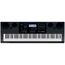 Купить Casio WK-6600 Синтезатор