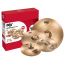 Купить SABIAN B8X Performance set Комплект тарелок