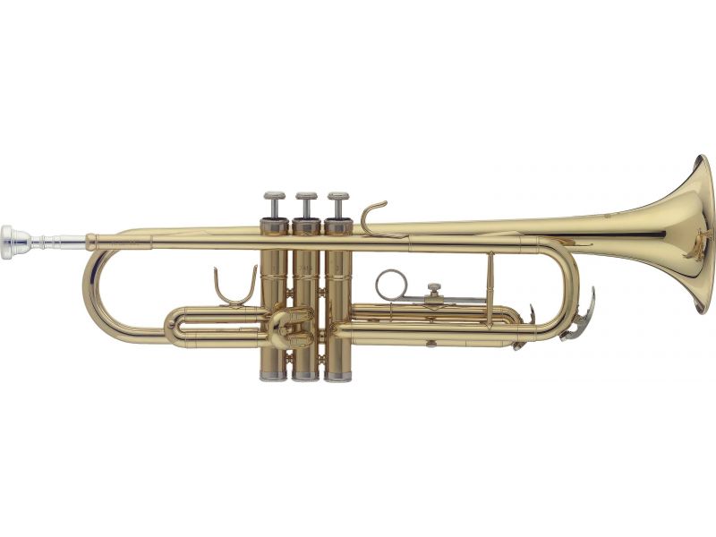 Купить Stagg WS-TR215S Труба