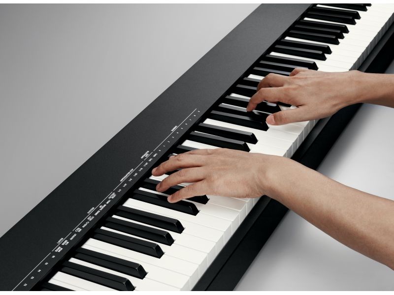 Купить Roland A-88 MK2 Миди-клавиатура