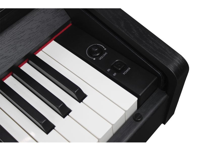 Купить SOLISTA DP801BK Цифровое фортепиано