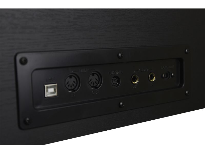 Купить SOLISTA DP801BK Цифровое фортепиано