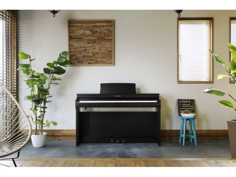 Купить Kawai CN-201 RW Цифровое пианино (банкетка в комплекте)
