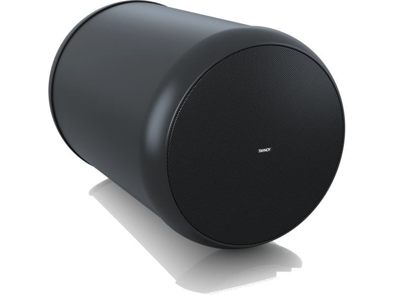 Купить Tannoy OCV 6 BK Трансляционная акустическая система подвесная