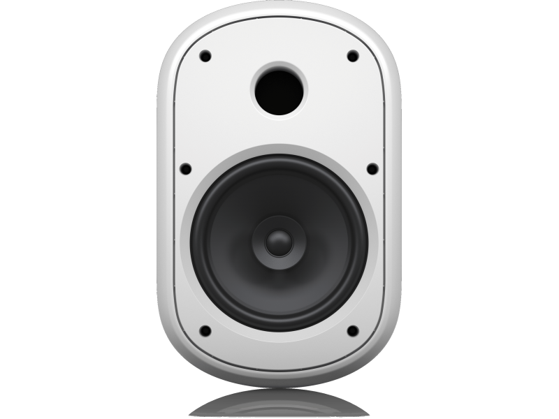 Купить Tannoy DVS 801-WH Трансляционная акустическая система