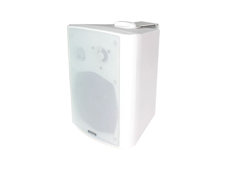 Купить INOUT WP-530FW Настенный громкоговоритель