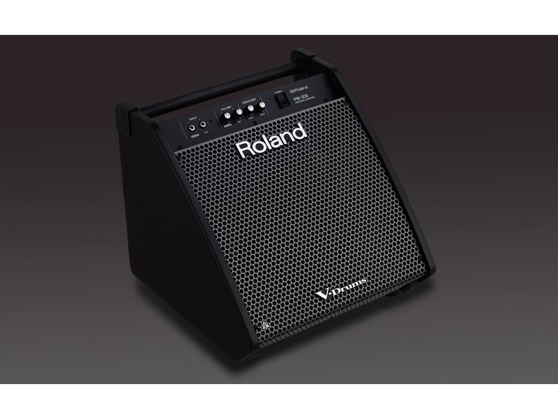 Купить Roland PM-200 Монитор персональный